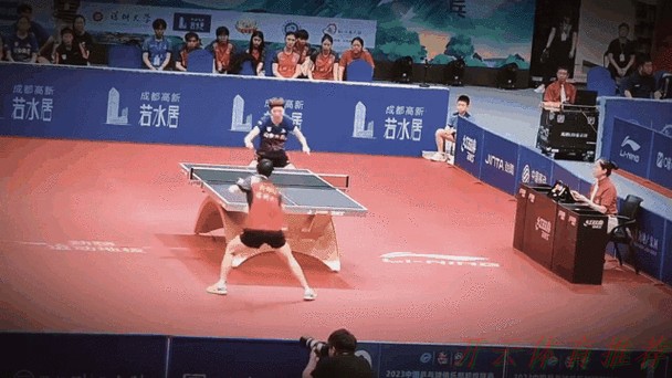 开云体育世界杯动态：王曼昱因伤退出全运会乒乓球项目后续比赛